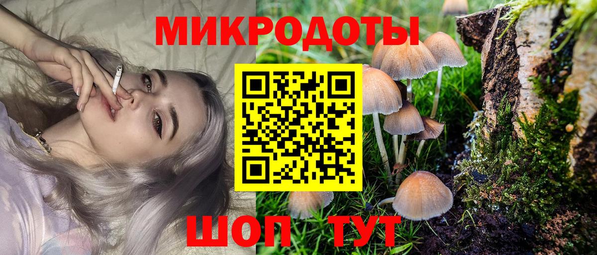 Псилоцибиновые грибы GOLDEN TEACHER  как найти наркотики  Волжский  Вход с VPN 